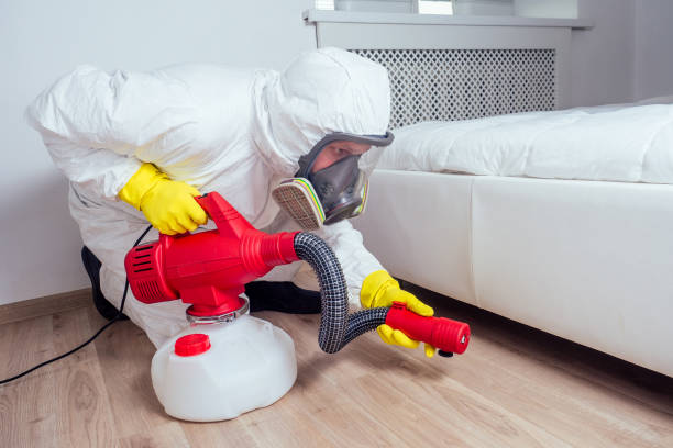 Best Affordable Pest Control Services  in Howland Center, OH