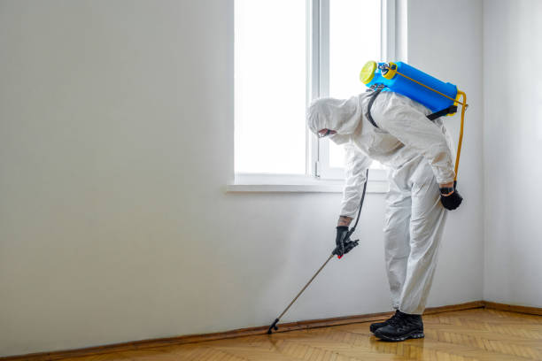 Best Emergency Pest Control  in Howland Center, OH