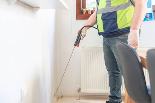 Best Flea Control Services  in Howland Center, OH