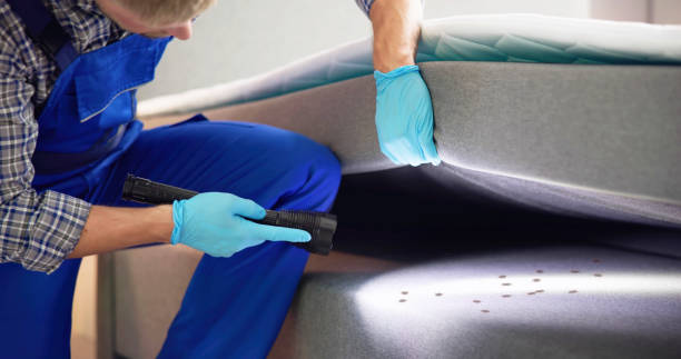 Best Commercial Pest Control Services  in Howland Center, OH
