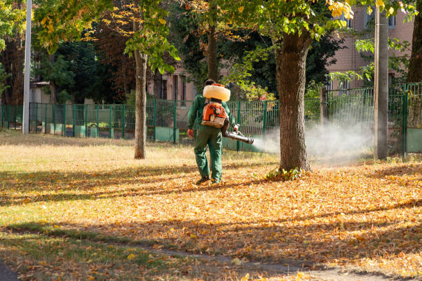 Reliable Howland Center, OH Pest Control Solutions